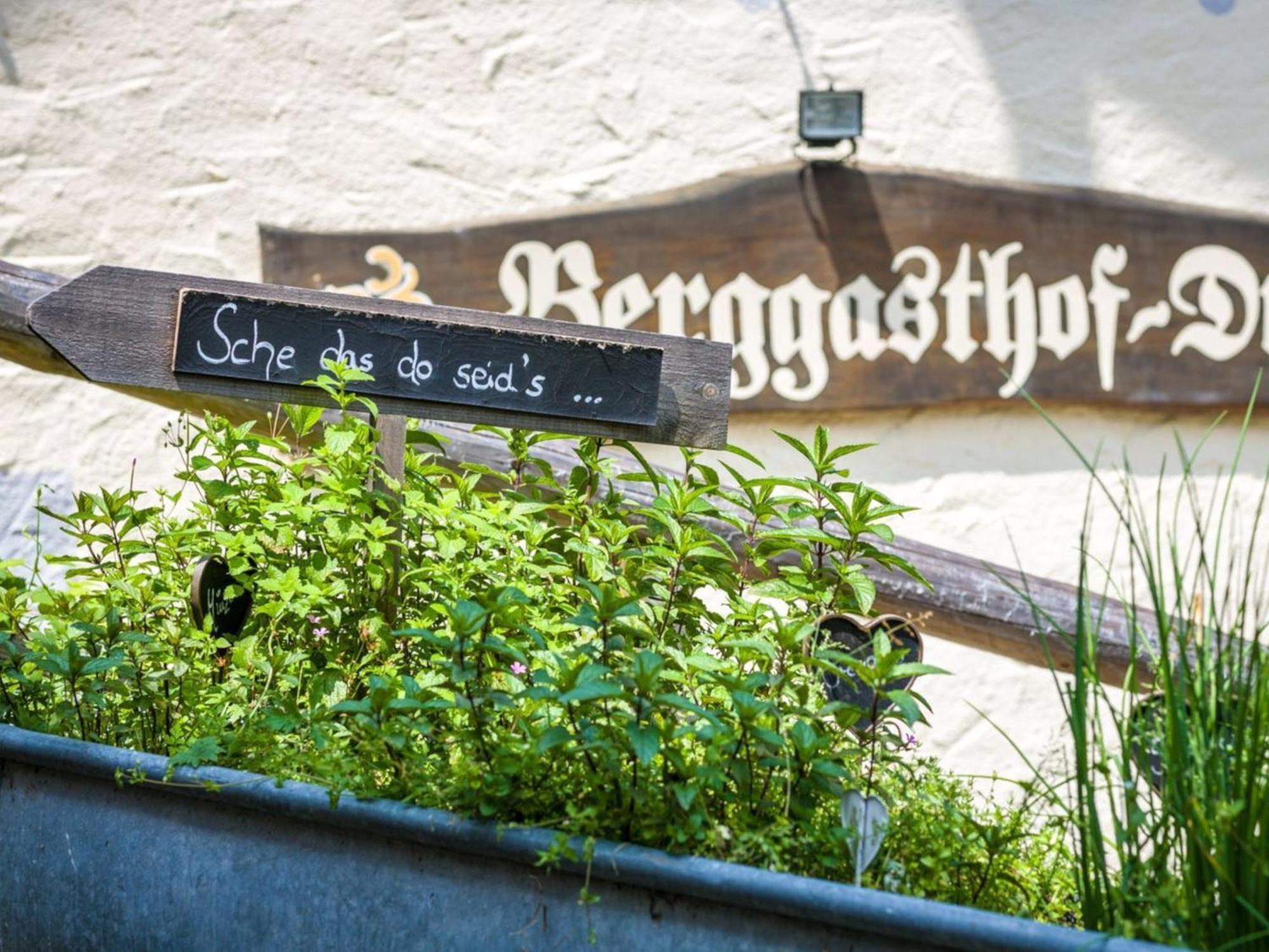 Berggasthof Hotel Duftbraeu I Ruhige Alleinlage I Mitten Im Gruenen Samerberg Exteriér fotografie